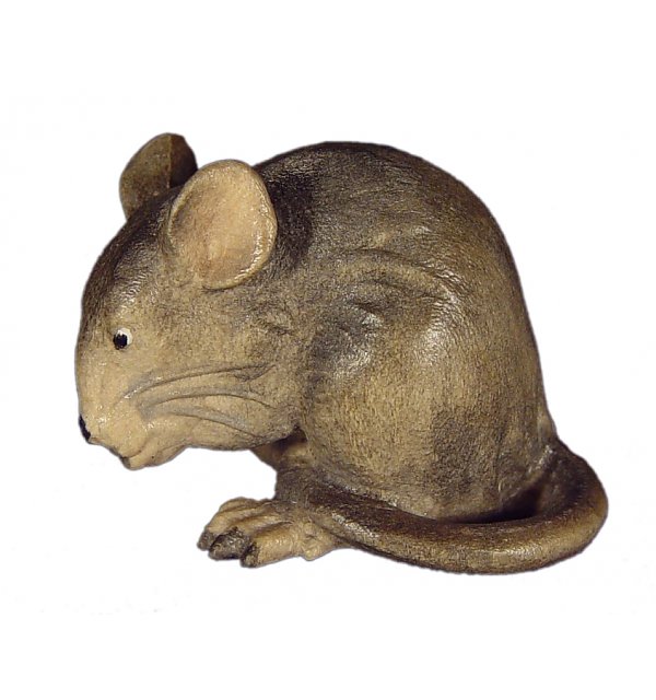 1385 - Maus bückend in Zirbel