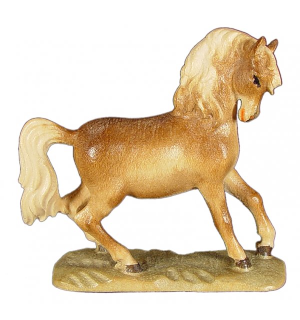 1312 - Pferd in trab in Zirbel