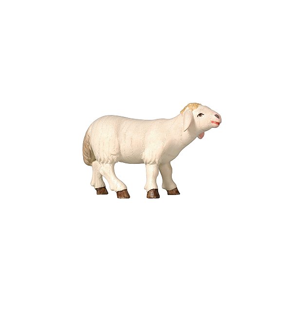 PE795260 - PE Schaf stehend vorwertsschauend