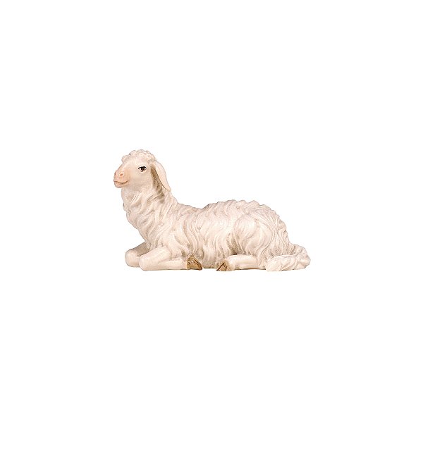 PE801252 - KO Schaf liegend linksschauend