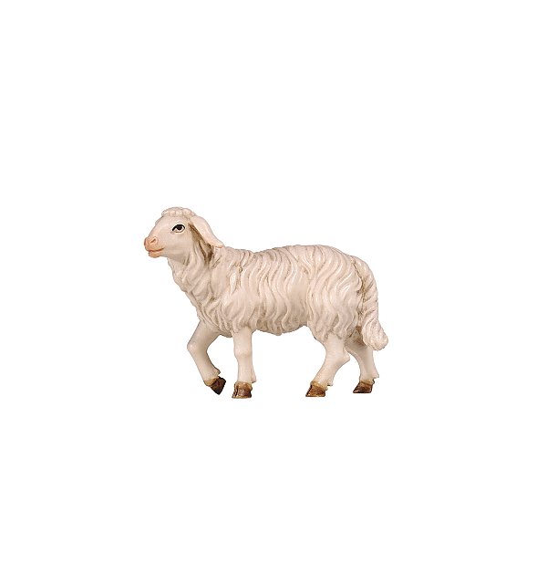 PE801259 - KO Schaf stehend Kopf hoch