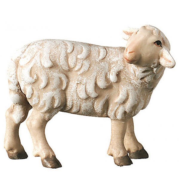 SA2440 - Schaf zurückschauend