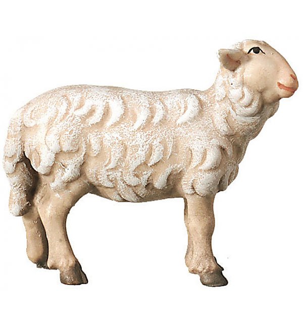 SA2450 - Schaf rechtsschauend