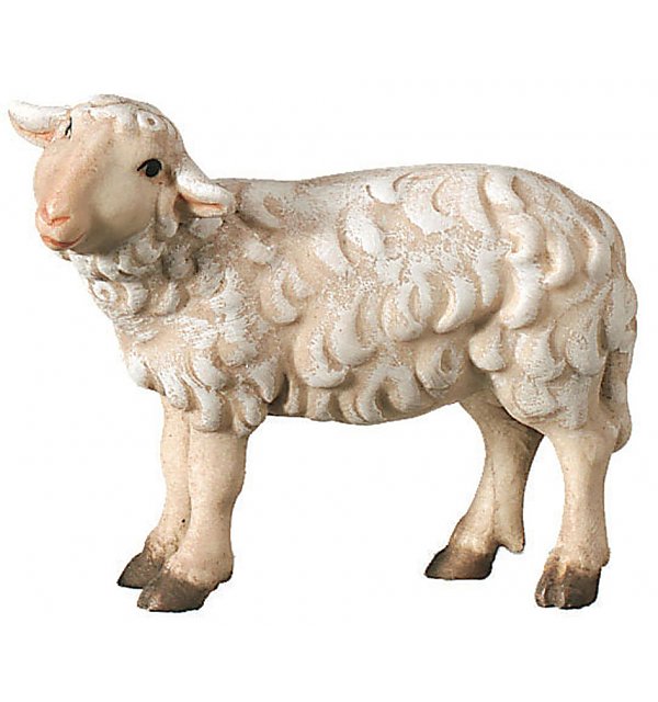 SA2460 - Schaf linksschauend