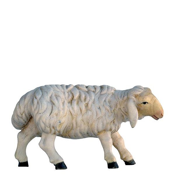 SO3143 - Schaf zuschauend