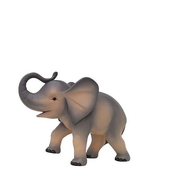 SO4026 - Elefantenjunge