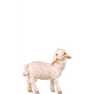 DE4562 - Lamb