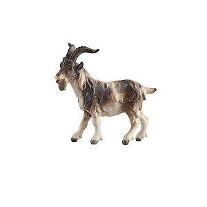 PE801199012 - KO Billy goat