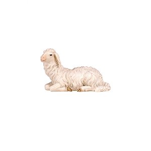 PE801253012 - KO Sheep