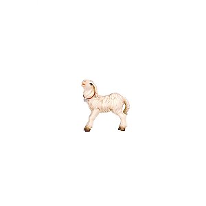 PE801286012 - KO Lamb