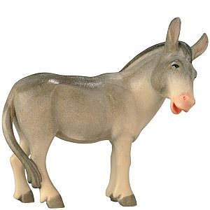SA1809 - Donkey