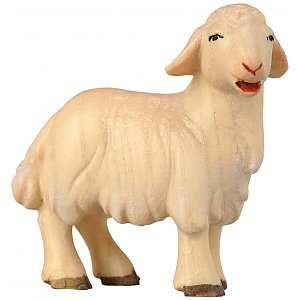 SA1853 - Lamb standing