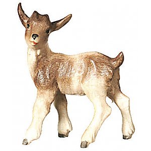 SA2975 - Little goat