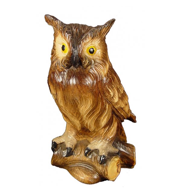 1341 - Owl in pine