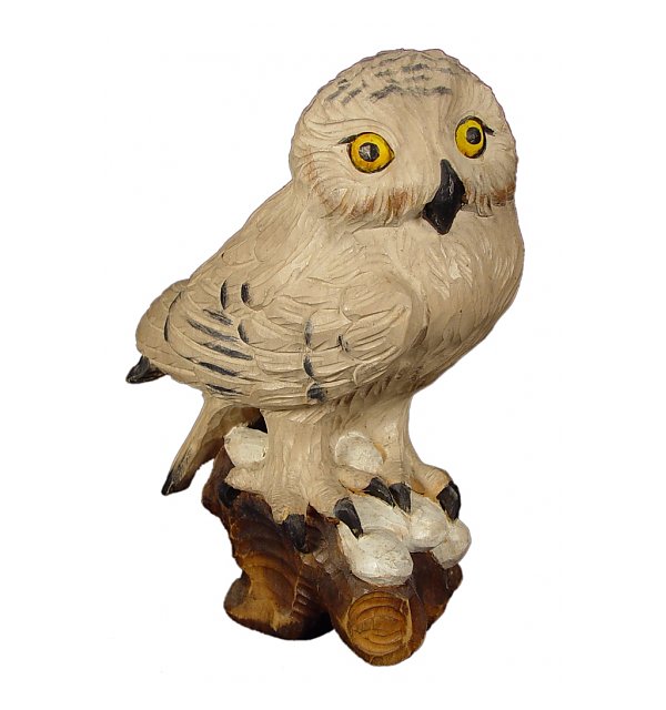 1042 - Snowy owl
