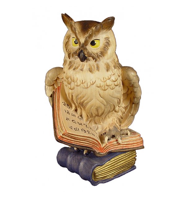 1043 - Owl on book