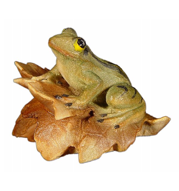1050 - Frog on leaves