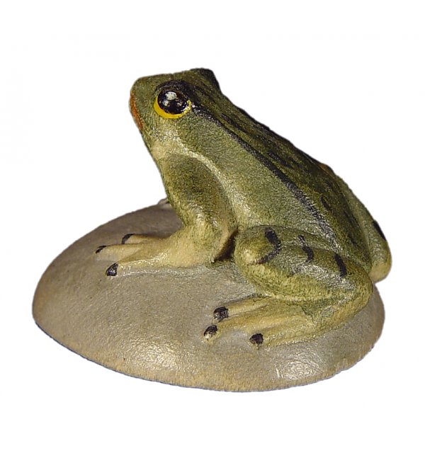 1051 - Frog on stone