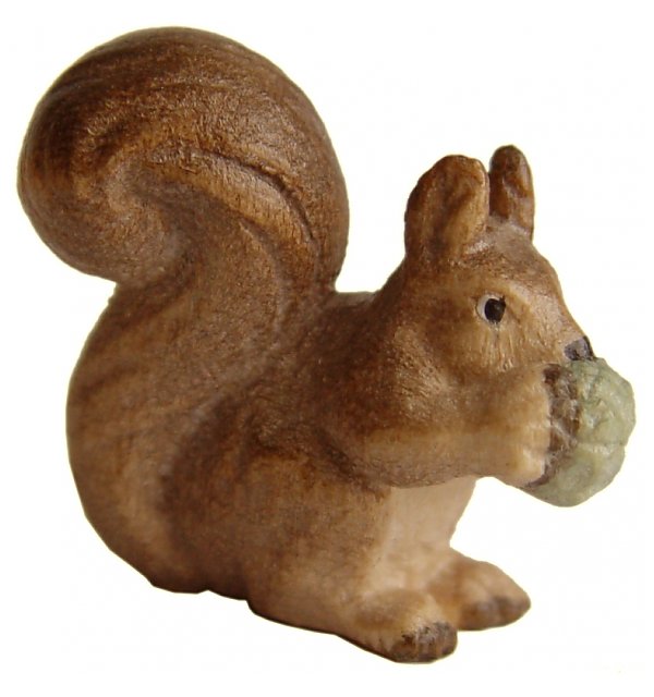 1390 - Squirrel in pine
