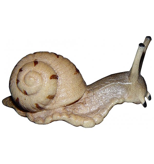 1096 - Snail