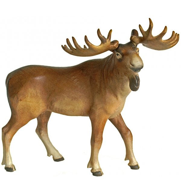 1139 - Elk