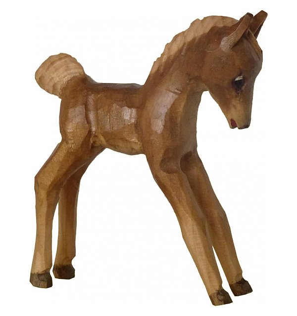 1216 - Foal