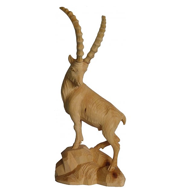 1344 - Ibex in pine
