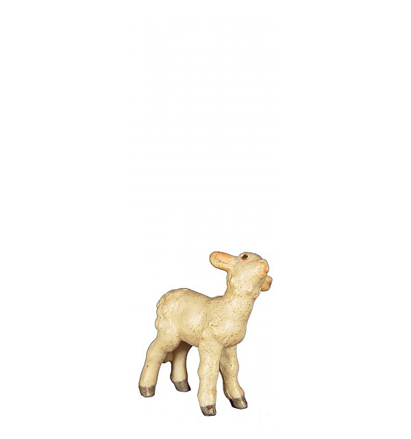 8042 - Lamb standing upright