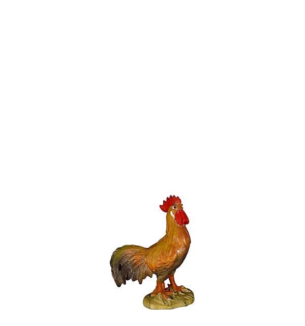 8067 - Cock