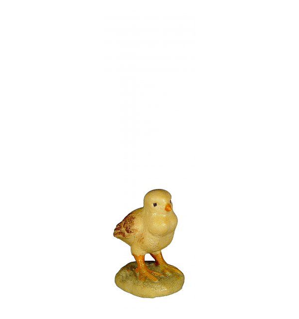 8071 - Chick
