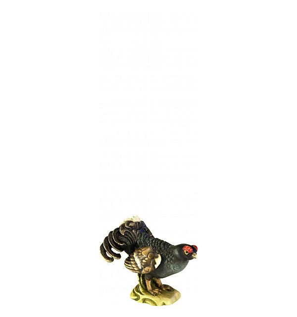 8095 - Black cock