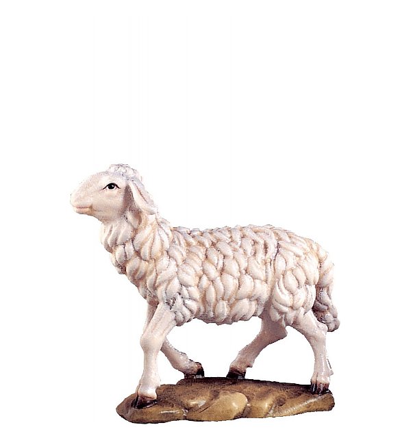 DE4045 - Sheep