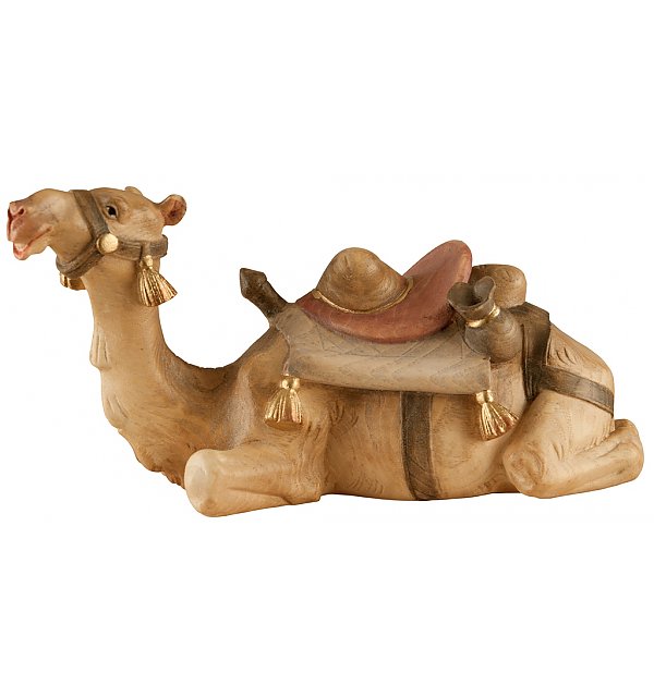 SA1840 - Camel lying