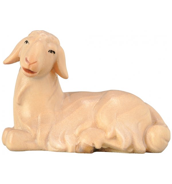 SA1852 - Sheep lying