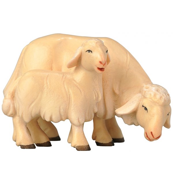 SA1854 - Sheep grazing with lamb