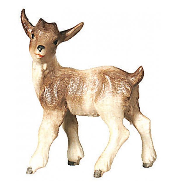 SA2975 - Little goat