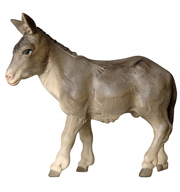 SA2971 - Donkey