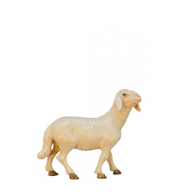 SO101169 - Schaf stehend