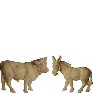 7602015 - Ox - donkey in pine