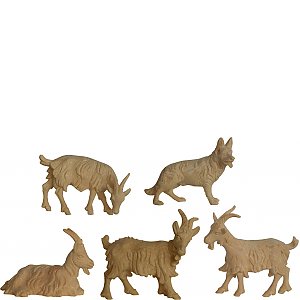 7603012 - Variet animals in pine