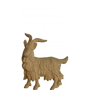 7609015 - Goat