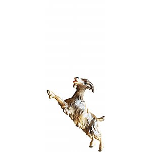 8022015 - Goat