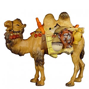 8026009 - Camel