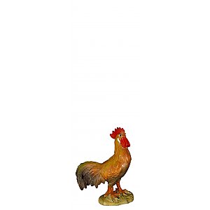 8067013 - Cock