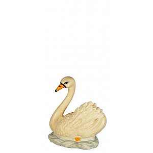 8082011 - Swan
