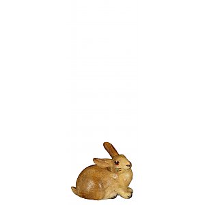 8084009 - Hare laying
