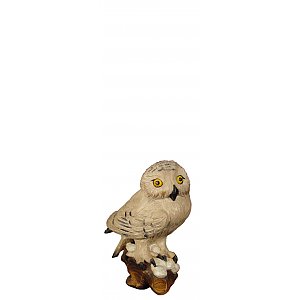 8099011 - Snowy owl