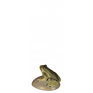 8104011 - Frog on stone