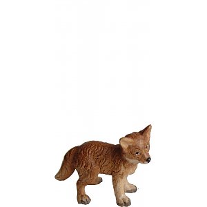 8107011 - Fox puppy standing