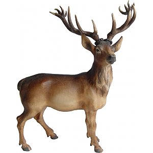 8112015 - Stag
